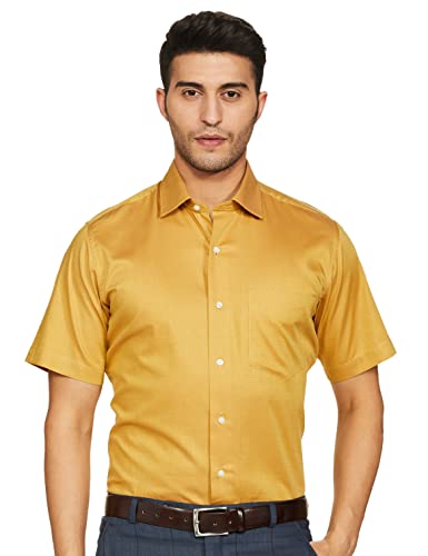 Image of Van Heusen Men's Regular Shirt (VHSH318M008211 Beige 44)