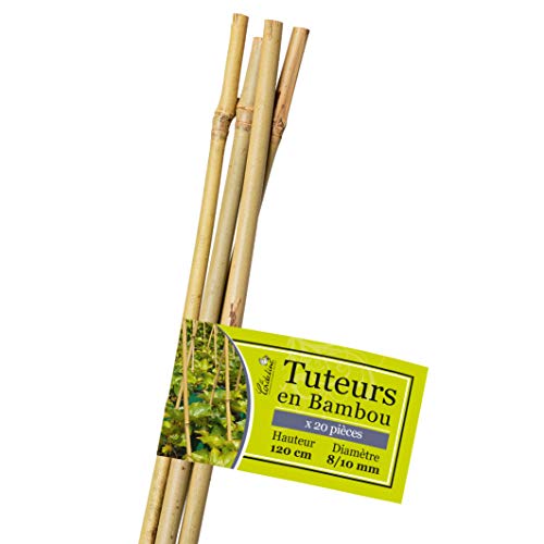 La cordeline LTB120-20 Bambusstäbe, Länge 120 cm, Durchmesser 8/10 mm, 20 Stück, Natur