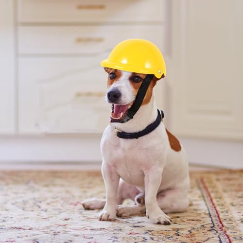Haustier Lustiger Hut Hund Sicherheitshut Hündchen Kätzchen Helm Kleiner Hundehelm Hund Schutzhelm Helm Für Hunde Helm Der Französischen Bulldogge Urlaub Abs Kopfbedeckung