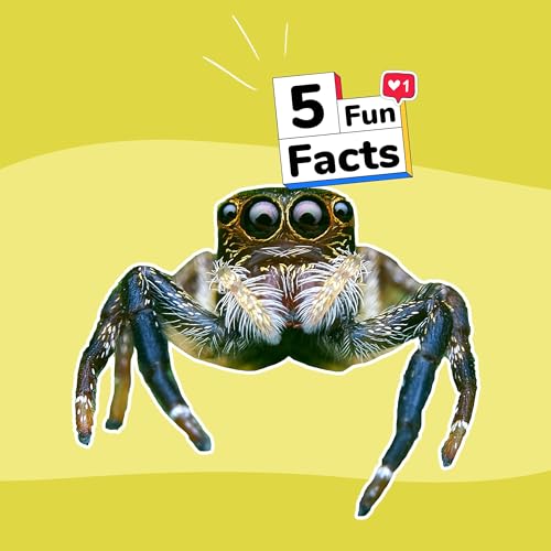 Les ARAIGN&Eacute;ES - 5 choses &agrave; savoir sur... Podcast Por  arte de portada