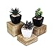 MOOCA Customizable Wooden Display Risers Set - 3 Different Height ...
