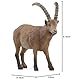 SCHLEICH 14873 Steinbock, ab 3 Jahren, WILD Life - Spielfigur, 5 x 9 x 3 cm