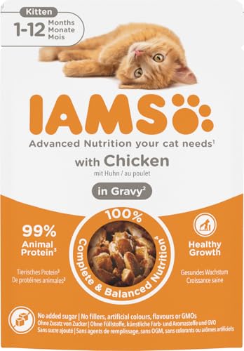 IAMS Delights Kitten cibo umido - Multipack di cibo per