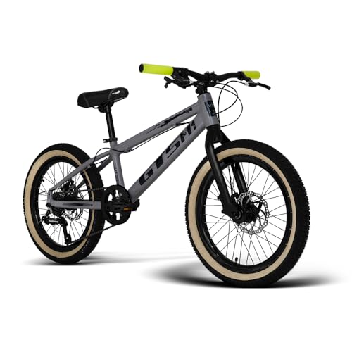 Bicicleta GTSM1 MTB20 Câmbio Shimano 7v Freio a Disco
