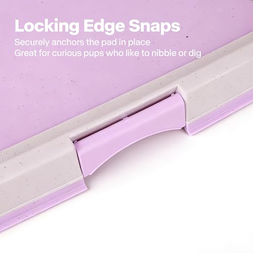 Image of Pawise Dog Pee Pad Holder for Puppy, Puppy Pad Holder Tray, Pet Training Pee Pad, Indoor Potty Tray for Senior Dogs, Dog Toilet for Newborn Puppies, 23.5 inch x 23.5 inch，Purple