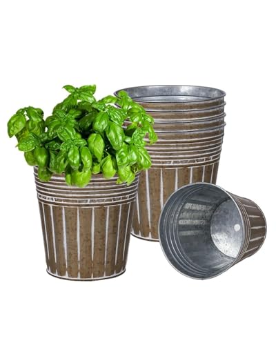 6 Inch Brown Metal Rustic Flower Pots - 6Pcs...