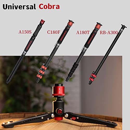 Ifootage Cobra 3 Base, Portable Tabletop Mini Tripod Mount With 360° Degree Rotatable Ball-Head,Quick Release Platform,Max Load 17.6 Lbs #TOP4
