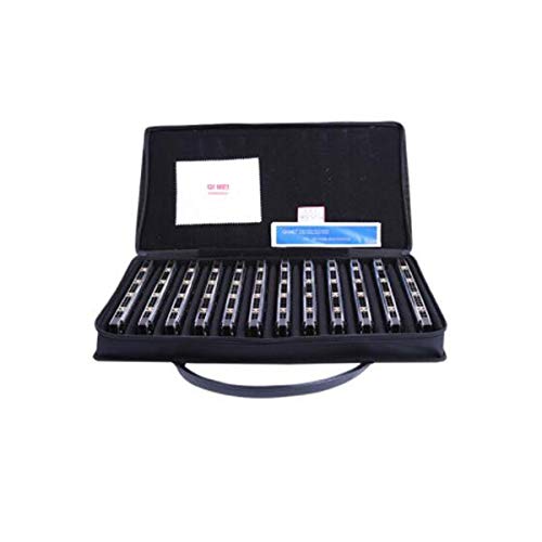 KMDSM Harmonica, harmonie haut de gamme polyphonique professionnelle 24 trous C-tone Performance, argenté 12 couleurs… - Les Beatles, Paul McCartney, John Lennon, RIngo Starr, George Harrison KMDSM Harmonica, harmonie haut de gamme polyphonique professionnelle 24 trous C-tone Performance, argenté 12 couleurs… – Image 6