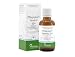 Produktbild Pflügerplex Senecio 134 Tropfen, 50 ml