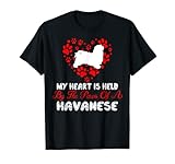 Photo Gallery il mio cuore ha tenuto le zampe del cane havanese san valentino maglietta Photo Gallery il mio cuore ha tenuto le zampe del cane havanese san valentino maglietta