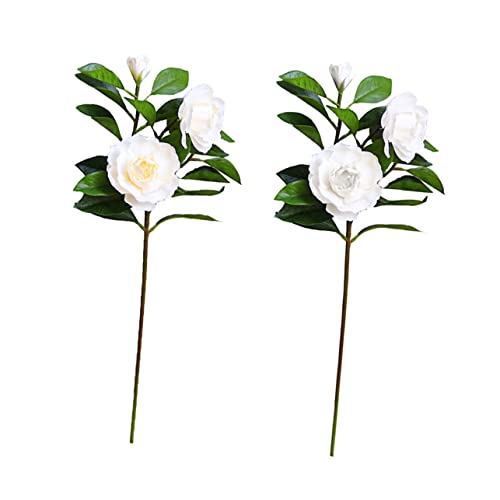 Cabilock lHN`iṼtFCNt[  V~[Vt[ p e[uZ^[s[X Q rOp p