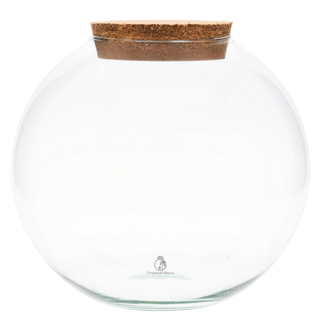 Round Terrarium Glass Container with Cork Lid, H: 23 cm | D: 28 cm, Spacious Closed Glass Jar for Terrarium Displays, Home and Office Décor (Glass Only) (Glass Only)