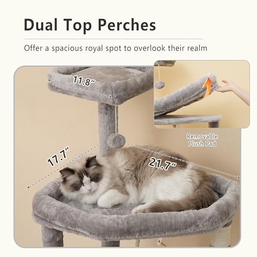 Image of Heybly 64.2 inch Heavy-Duty Cat Tree for Large Cats with Wide Base HCT027W | Indoor Cat Tower with Scratching Posts & Board, Cat Furniture with Big Platforms, Extra-Large Hammock, Light Gray