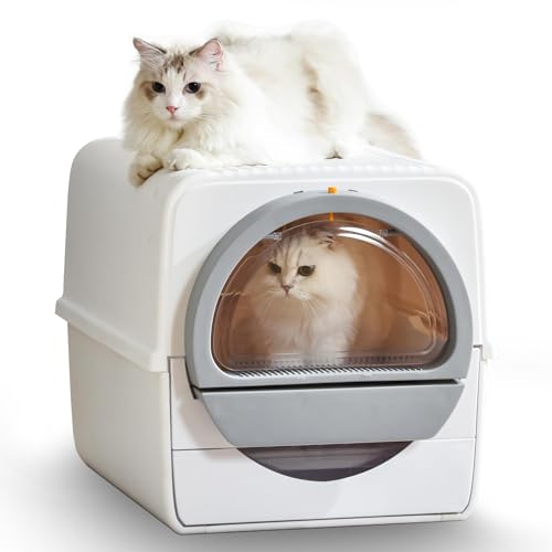 Automatic Kitty Litter Box The 15 best products compared Wild Explained