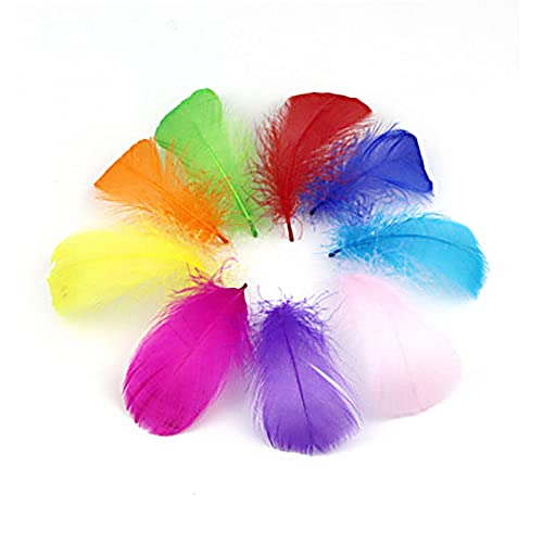 JANEMO 100Pcs Feathers,2-5Inch Multiple Colour Feathers for Crafts,Use for Craft Projects and Festivals, Weddings, Party Decorations