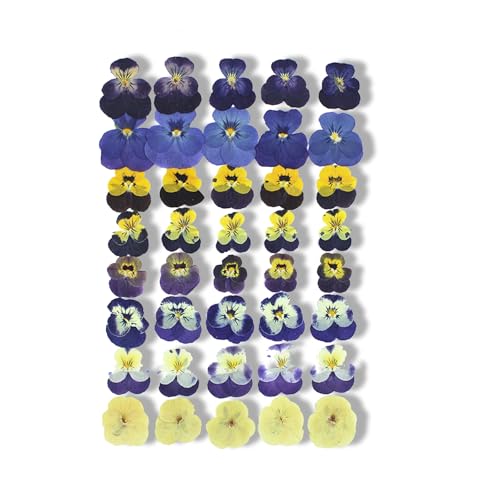 fKiZanthene Lot de Quarante Fleurs Sèchées Comestibles, Fleurs de Penseé pour Décoration de Gâteau, Quatre Designs – pour Cuisine, Fêtes...