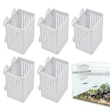 Qkbuza Maceta para Acuario - Juego de 5 Decorativos Flotantes - de Cultivo Acuapónico para Pecera | para Cultivo Hidropónico y Acuapónico en Jardines de Agua para Betta y Pothos