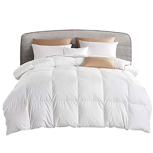 bed best goose down comforter