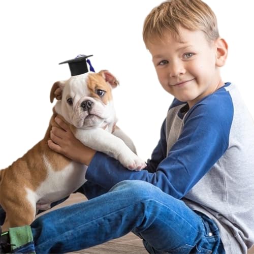 Gorro de graduación azul para perro y gato