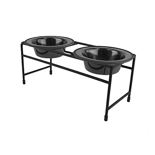8 Best Elevated Dog Bowls Or Pet Feeders To Buy In 2020