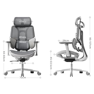 Hbada E3 Air Sedia Ufficio e Scrivania Ergonomica, con Supporto Lombare Dinamico a 3 Zone, Testiera Regolabile 3D, Braccioli Regolabili 3D, Grigio senza Poggiapiedi