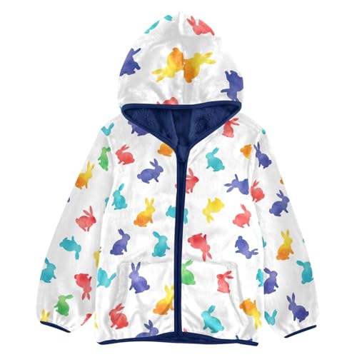 CHIFIGNO Bunnies Cute Boy Polar Fleece Lined Winter Coat, Toddler Boy Sweatshirt with Hooded 3T