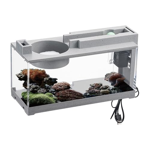 Aquarium de table, kit complet, petit aquarium avec filtre, pour tortues, reptiles, crevettes, mousse