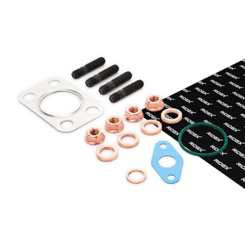 RIDEX 2420M0021 Juego de montaje turbocompresor con juntas con tornillos compatible con FORD Fiesta Mk6 Hatchback CB1, CCN, JA8, JR8