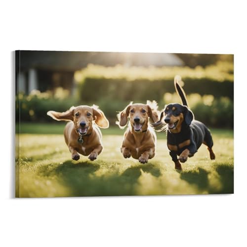 Poster de chien teckel decoration d interieur impression photo sur toile 40x60 cm