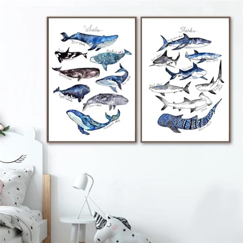 Aquarelle baleine requin toile 30x50 cm lot de 2 tableaux abstraits pour chambre d'enfant KemneT