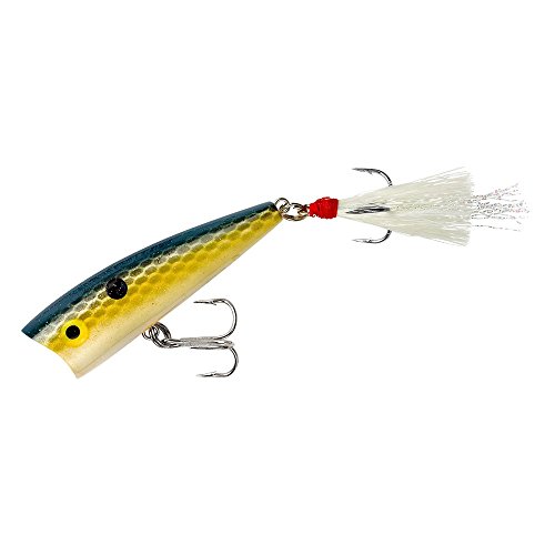 Rebel Isca de pesca Pop-R Topwater Popper, Foxy Shad, Teeny Pop-R (14 g)