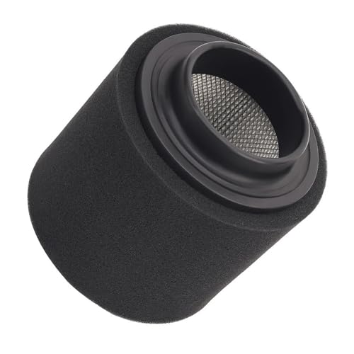 Filtre à air pour quad 300 250 et 200 remplace OEM 0452306 1253355