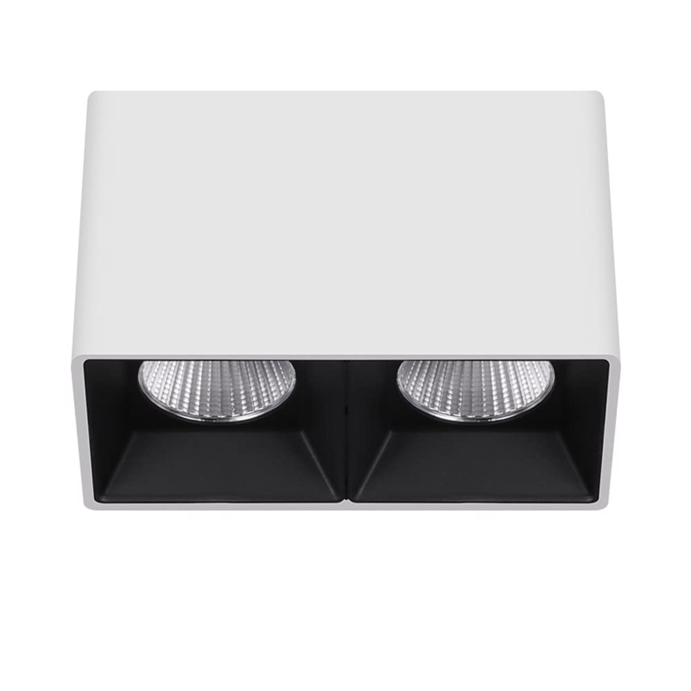 Faretto LED, apparecchio di Illuminazione da soffitto per Interni a 2 luci da 20 W, Rettangolare per Cucina, Soggiorno e Camera da Letto, faretti a Binario Fisso/Lampada d'accento/