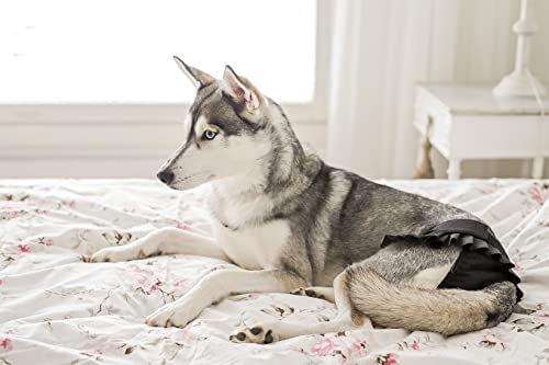 FINNERO Ballerina Dog Diaper – Washable, Reusable, Leak-Proof – Heat, Period & Urine Incontinence Protection – Comfortable, and Stylish Design – Adjustable Fit for Female Dogs – Large, Black