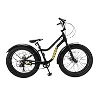 Amazon.co.jp: アイゼル(Eizer) ファットバイク F240 24インチ 7段変速