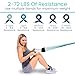 Vive Resistance Band Set (11 PCS) (With App) - Versatile Exercise Tubes with Wide Handles, Workout Poster, & Door Anchor - Adjustable 10-50 LB Tension for Full Body Home Fitness & Rehab -for Men/Women