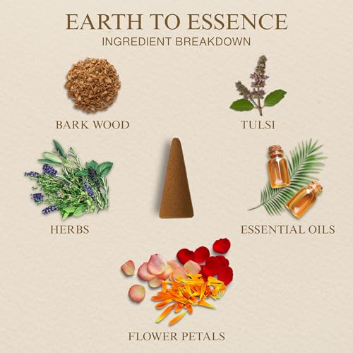 Image of Organic Bambooless Dhoop Cones | 40 Natural Flower-Based Incense Cones + Ceramic Stand | Charcoal Free, Long-Lasting Dry Dhoop Cones for Pooja, Home & Meditation (Pack of 1 - Tulsi)
