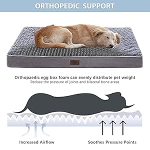 WNPETHOME-Orthopedic-X-Large-Dog-Bed-Dogs-Bed-for-Large-Dogs-with-Egg-Foam-Crate-Pet-Bed-with-Soft-Rose-Plush-Waterproof-Dog-Bed-Cover-Washable-RemovableXL-Dog-Bed-42-x-30-x-4-inch-Grey - Cucciolini Doodles   WNPETHOME-Orthopedic-X-Large-Dog-Bed-Dogs-Bed-for-Large-Dogs-with-Egg-Foam-Crate-Pet-Bed-with-Soft-Rose-Plush-Waterproof-Dog-Bed-Cover-Washable-RemovableXL-Dog-Bed-42-x-30-x-4-inch-Grey