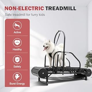 Dog Treadmill for Large Medium Dogs, Treadmill for Dogs, Dog Exercise Equipment, Slatmill for Dogs, Adjustable Ramp Canine Running Slatmill Machine with Pedometer for Exercise & Healthy, Medium
