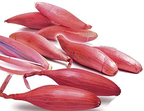 Miniatura 8 de Semillas Verduras herederas de cebolla de chalota roja para plantar sin OMG