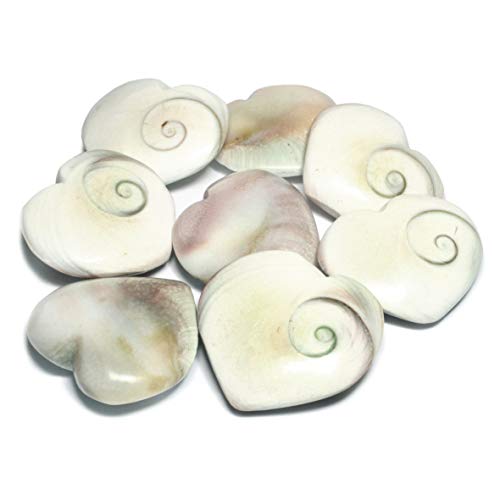 CrystalAge Shiva Shell Heart ~32-35mm