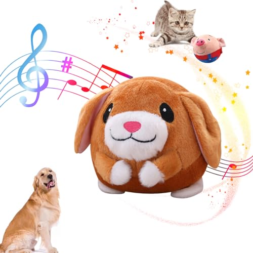 The Dog Charmer - Dog Charmer C^NeBusM[gCAANeBu[rOybgʂ݁AC^NeBuhbOgCANeBu{[\tgybggC bNXpAƔLp̎[O{[Aׂړ