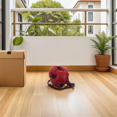 Balle interactive pour récompense d'obéissance en intérieur et extérieur