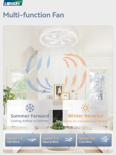 Image of LEDIARY 26 Inch Ceiling Fans with Lights White