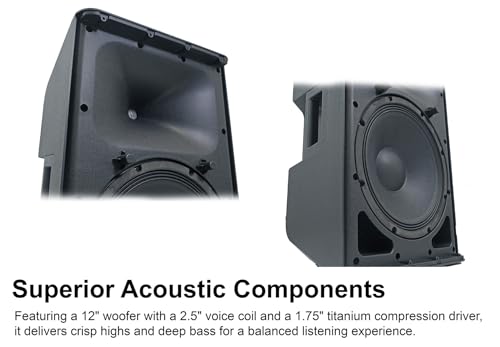 Rockville DX12 12 Inch Active Speakers with 2-Channel Mixer 2 Pack Review - Image 4