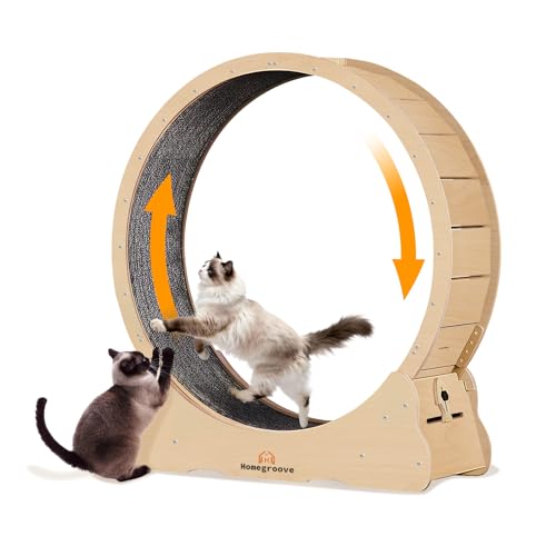 Homegroove Katzenlaufrad,132 cm Laufrad für Wohnungskatzen, Katzenlaufrad-Laufband mit abnehmbarem Teppich zur Gewichtsabnahme und...