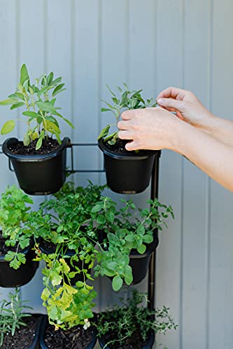 Watex Mobile Green Wall, Self-Watering Planters, Indoor Gardening (Single Frame, Black) #TOP7