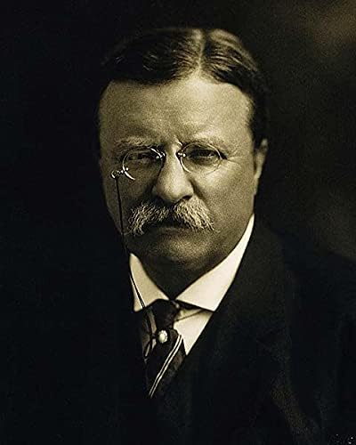 Amazon Co Jp 大統領セオドア ルーズベルト1913 Portrait 8 X 10シルバーhalideフォト印刷 ホーム キッチン