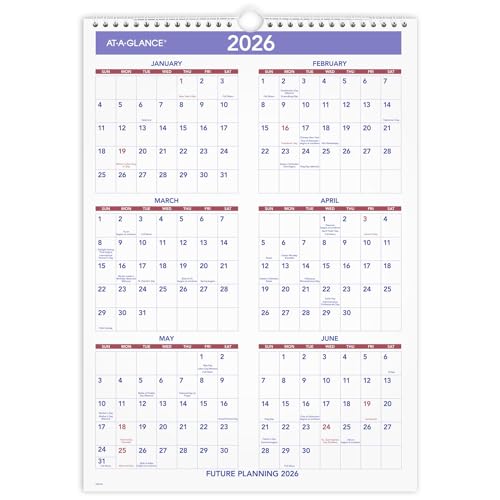 Image of AT-A-GLANCE 2025 Wall Calendar, 12 inch x 17 inch, Medium Tall (PM22825)