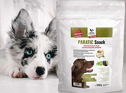 DOGS-HEART PARATIC Schutz Snacks (1.250 Stüc) | Natürlicher Haut- & Fellschutz mit Schwarzkümmelöl & Kokosöl | Premium Snack für Hunde | 100% natürlich & ohne Zusätze (1250 g)